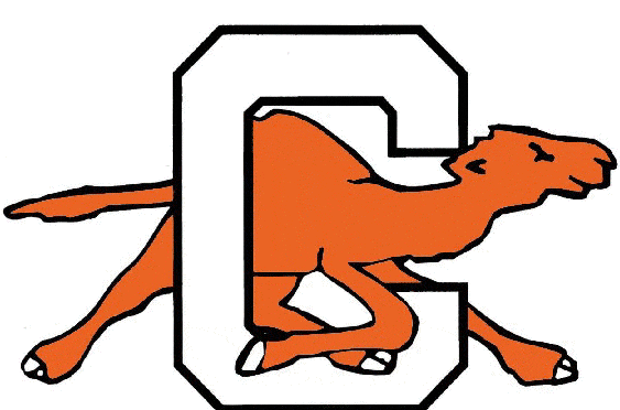 Campbell Fighting Camels 1993-2004 Alternate Logo iron on transfers for T-shirts